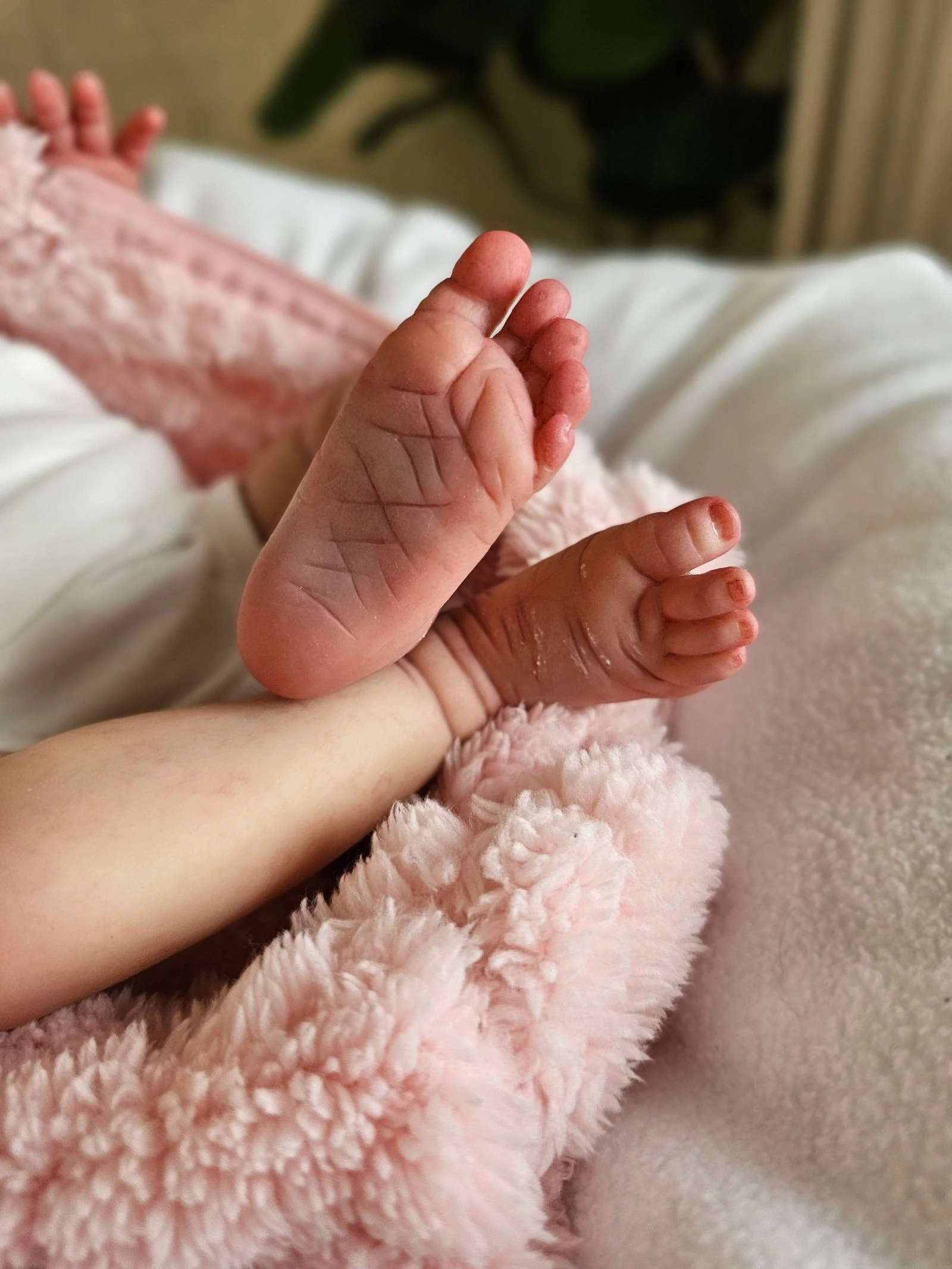 Original and certified reborn doll – photo 6